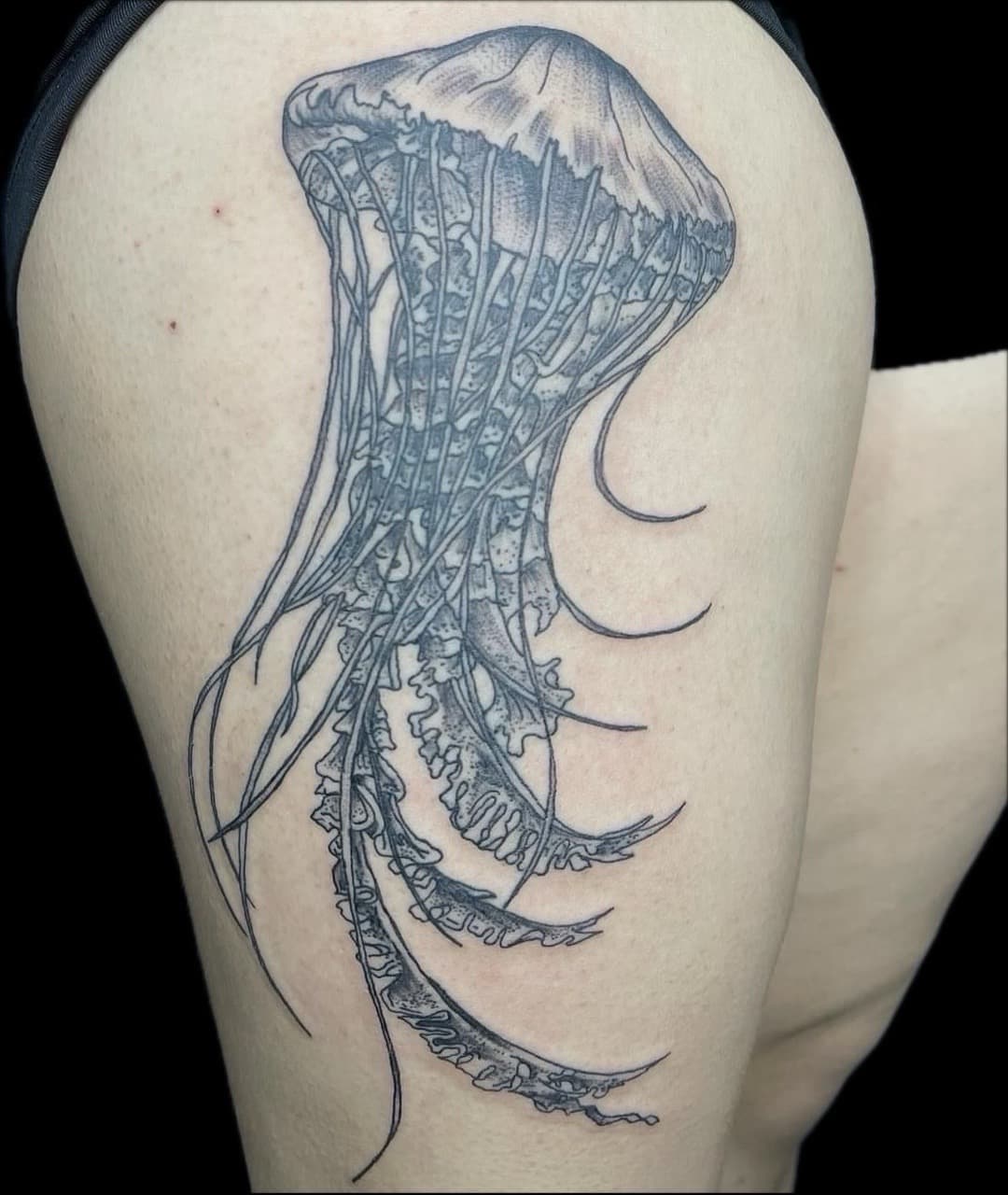 Black & Grey + Fine Line jellyfish tattoo on Thigh by Carmela_Bella on TattMe