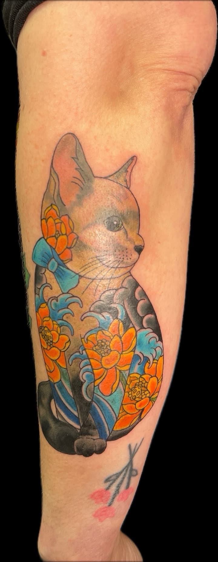 Color + Neo-Traditional cat tattoo on Forearm by Carmela_Bella on TattMe