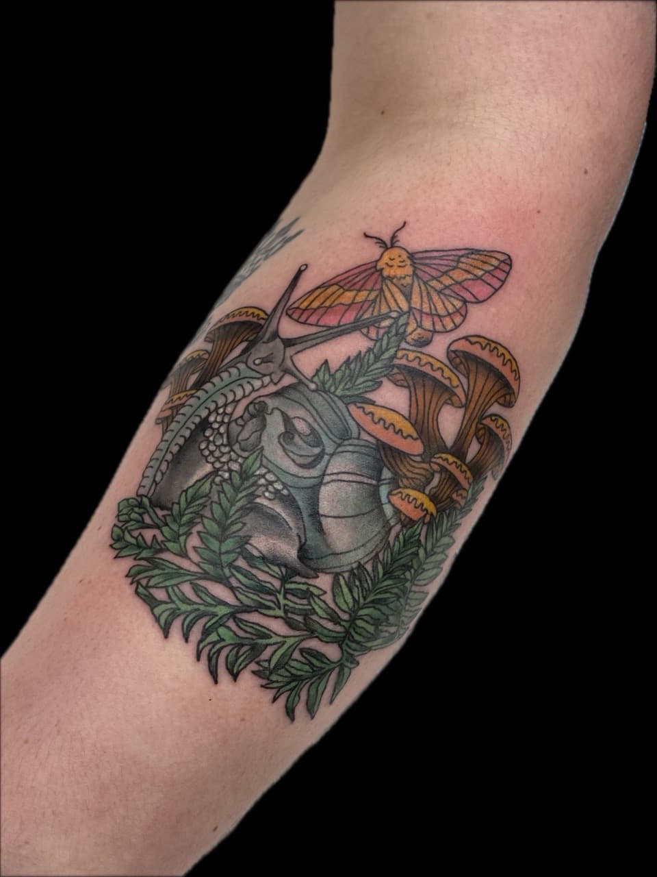 Illustrative + Color snail tattoo on Forearm by Carmela_Bella on TattMe