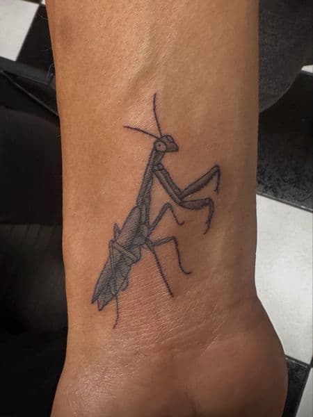 Line-work + Black & Grey praying mantis tattoo on Wrist by Jr on TattMe