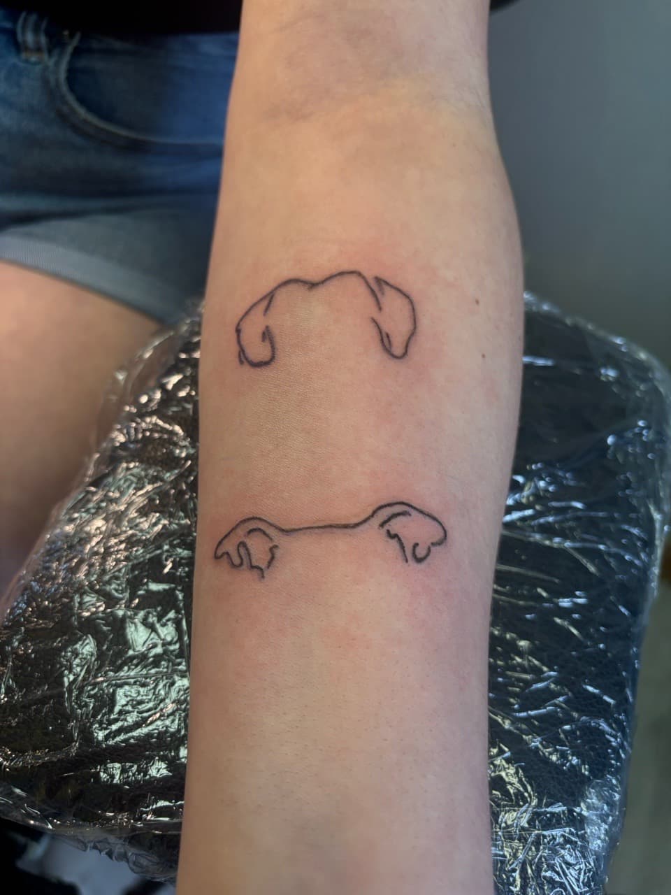 Fine Line + Minimalist dogs tattoo on Forearm by Second_Chance_Tattoo_Studio on TattMe