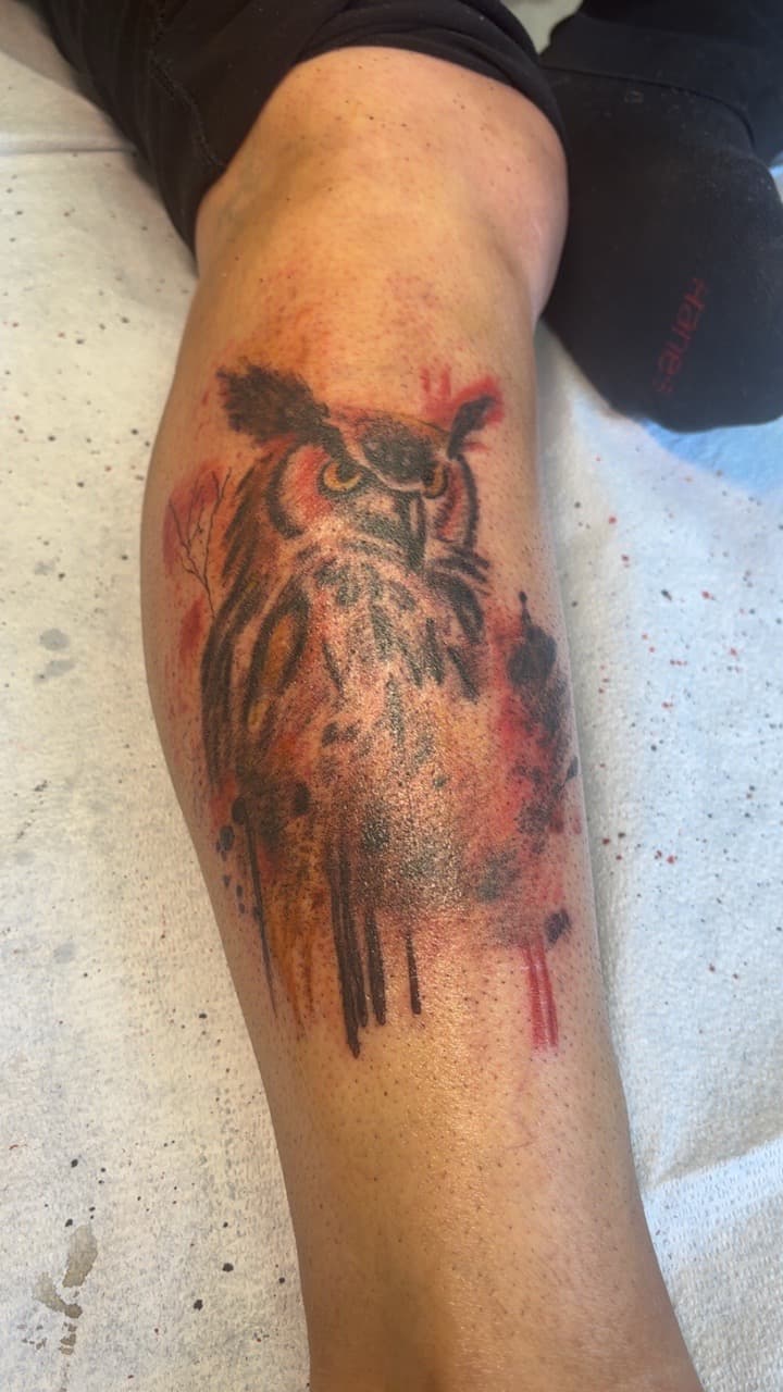 Watercolor + Illustrative owl tattoo on Shin by Second_Chance_Tattoo_Studio on TattMe