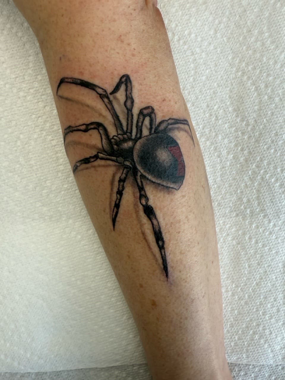 Black & Grey + Realism spider tattoo on Forearm by Matt_Mason_Tattoos on TattMe