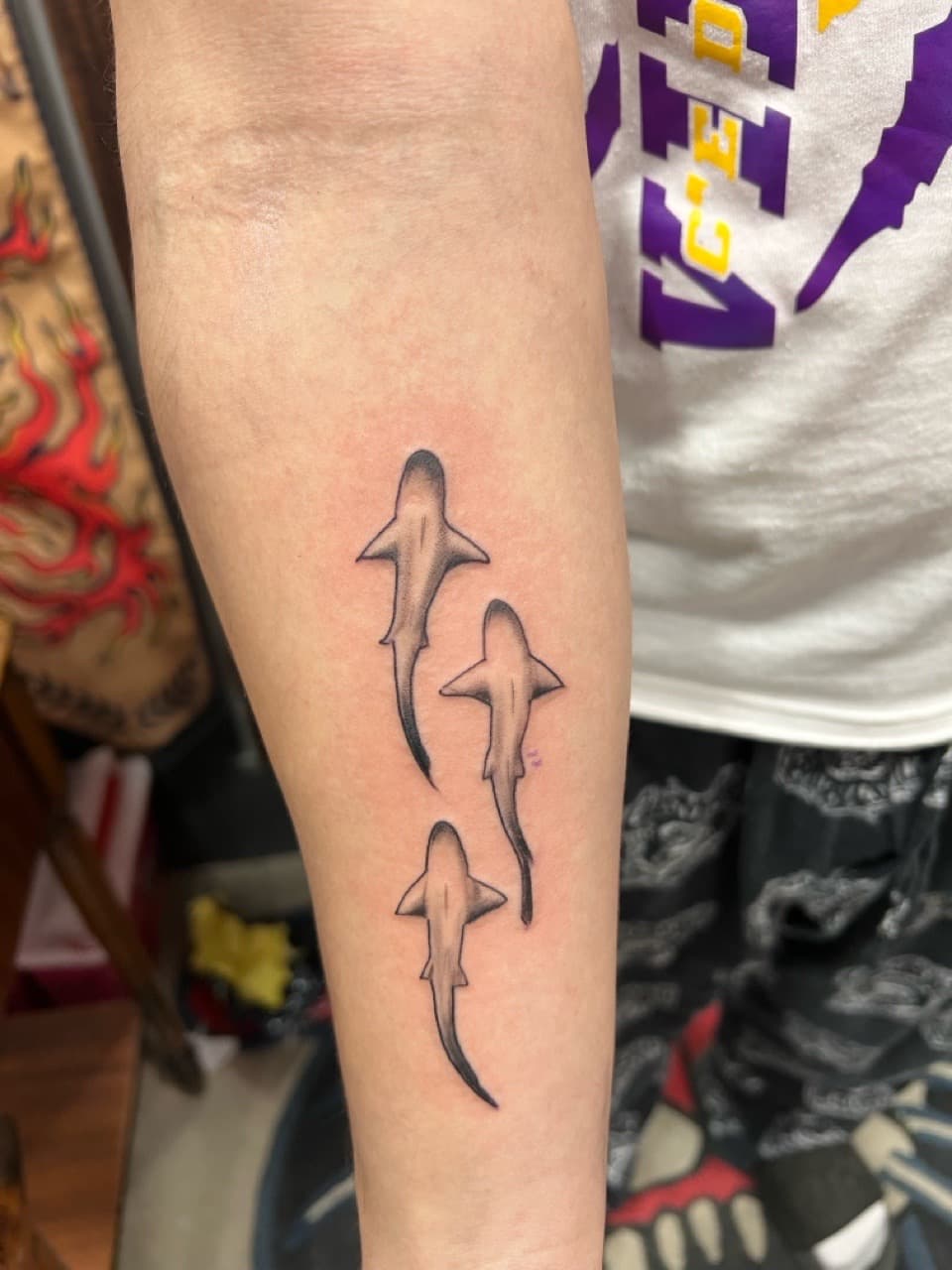 Fine Line + Black & Grey sharks tattoo on Forearm by Matt_Mason_Tattoos on TattMe