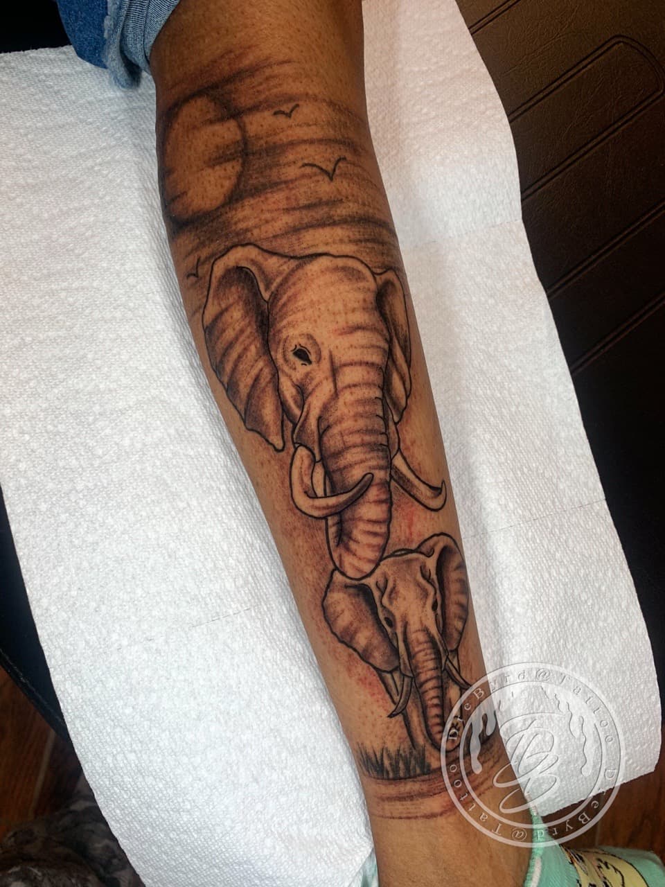 Black & Grey + Illustrative elephants tattoo on Forearm by TattooDrebyrd on TattMe