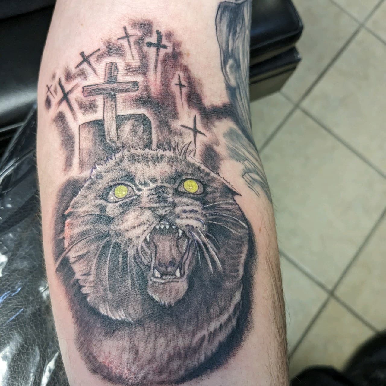 Black & Grey + Horror cat tattoo on Forearm by affiliatedtattoofamily on TattMe