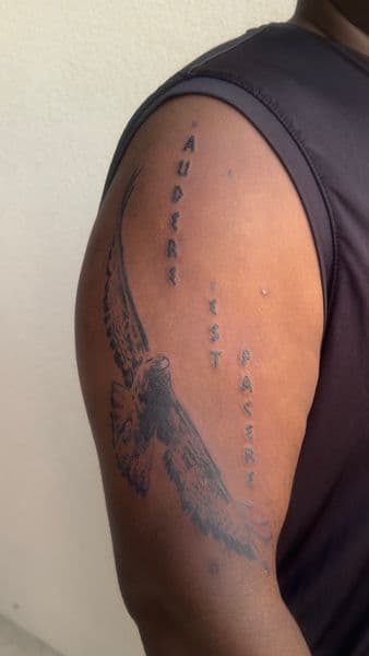 Black-work + Illustrative eagle tattoo on Upper Arm by osoinks on TattMe