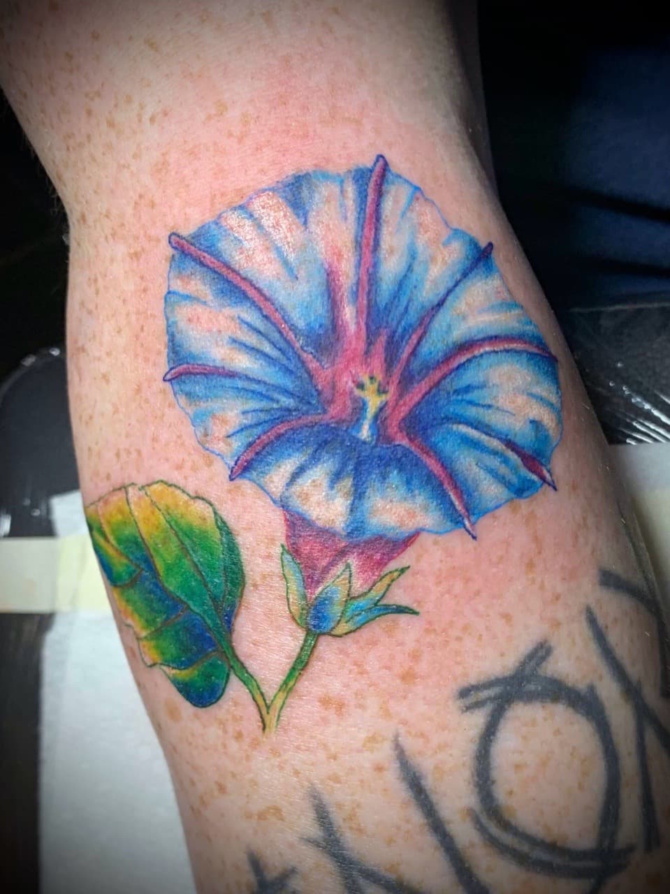 Floral + Color flower tattoo on Forearm by AdrianWareTattoos on TattMe