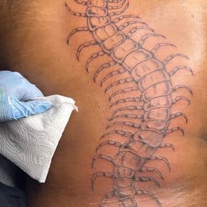 Line-work + Illustrative centipede tattoo on Spine by hippie.Inkster on TattMe