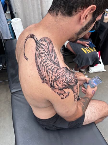 Black & Grey + Realism tiger tattoo on Shoulder Blade by Tattoos_by_Dalton on TattMe