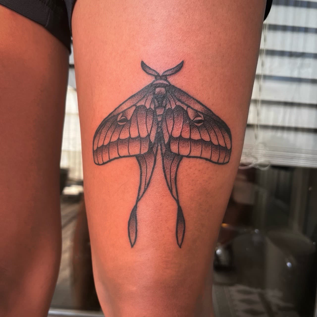Black-work + Dot-work moth tattoo on Thigh by high_hurdle_tattoo on TattMe