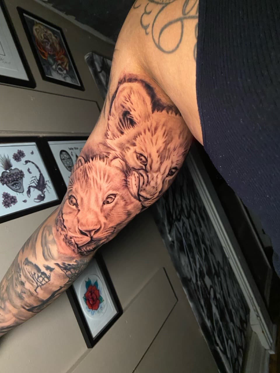 Black & Grey + Realism lions tattoo on Full Sleeve by Mike_Whyt on TattMe
