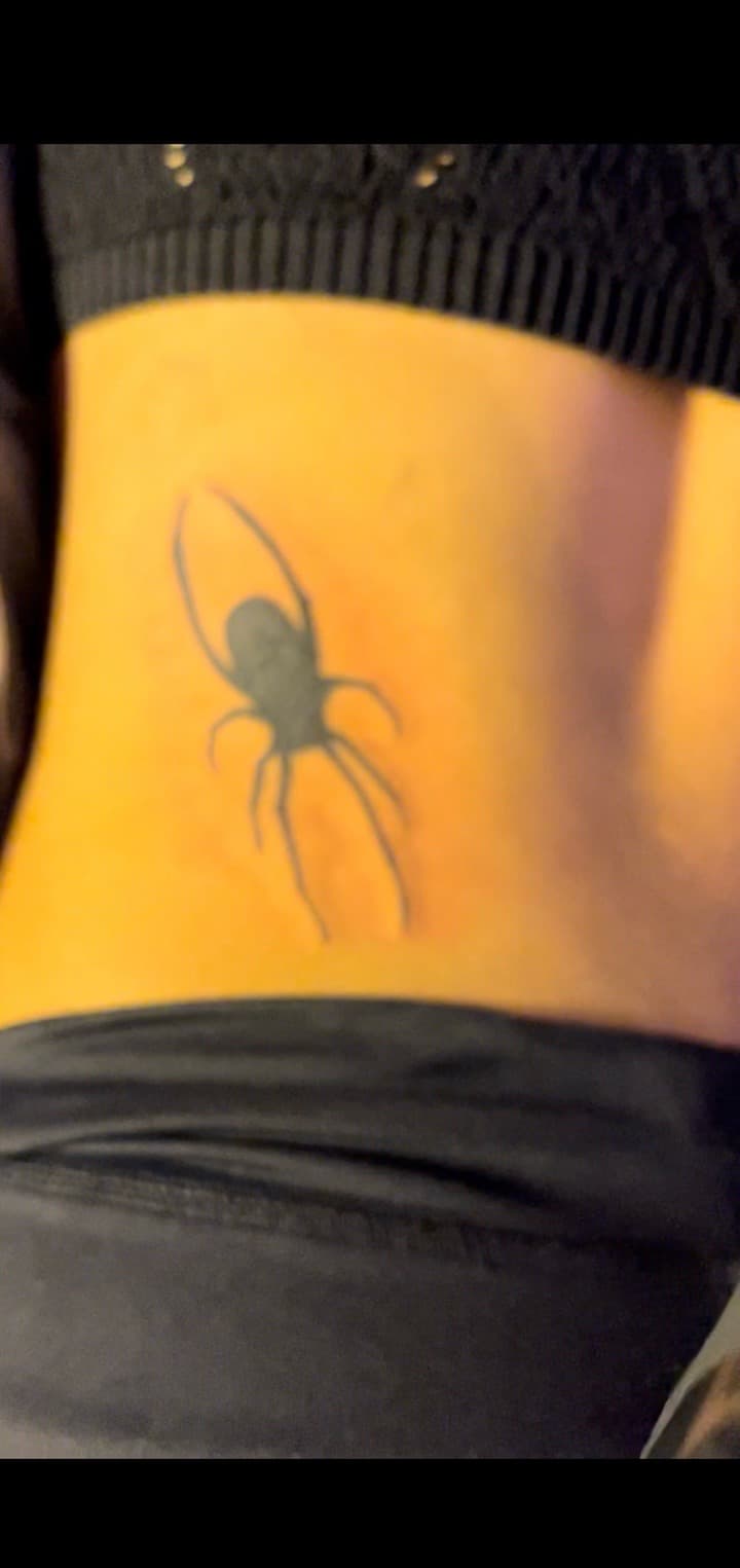 Black-work + Minimalist spider tattoo on Lower Back by TheTattooKennel on TattMe