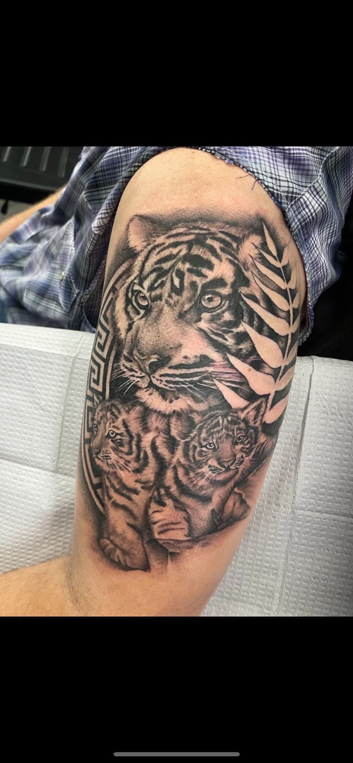 Black & Grey + Realism tiger tattoo on Upper Arm by Ink_by_Noble on TattMe