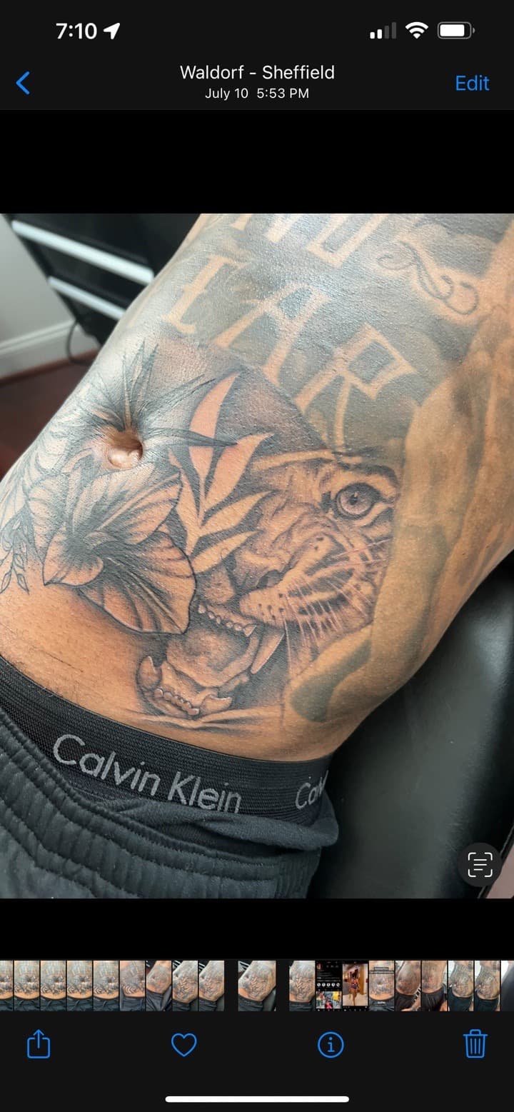Black & Grey + Realism tiger tattoo on Stomach by Ink_by_Noble on TattMe