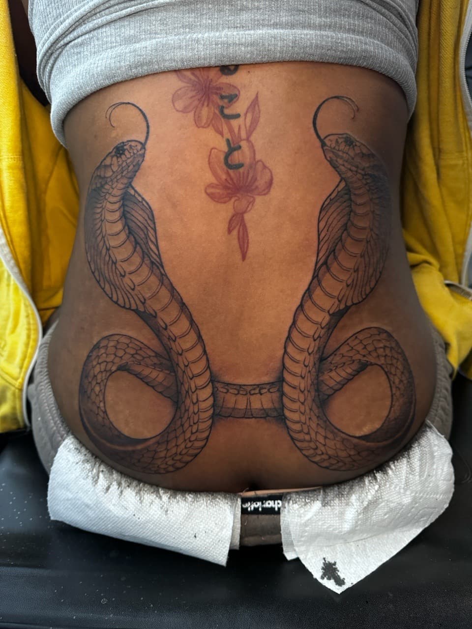 Black-work + Line-work snakes tattoo on Lower Back by Ink_by_Noble on TattMe