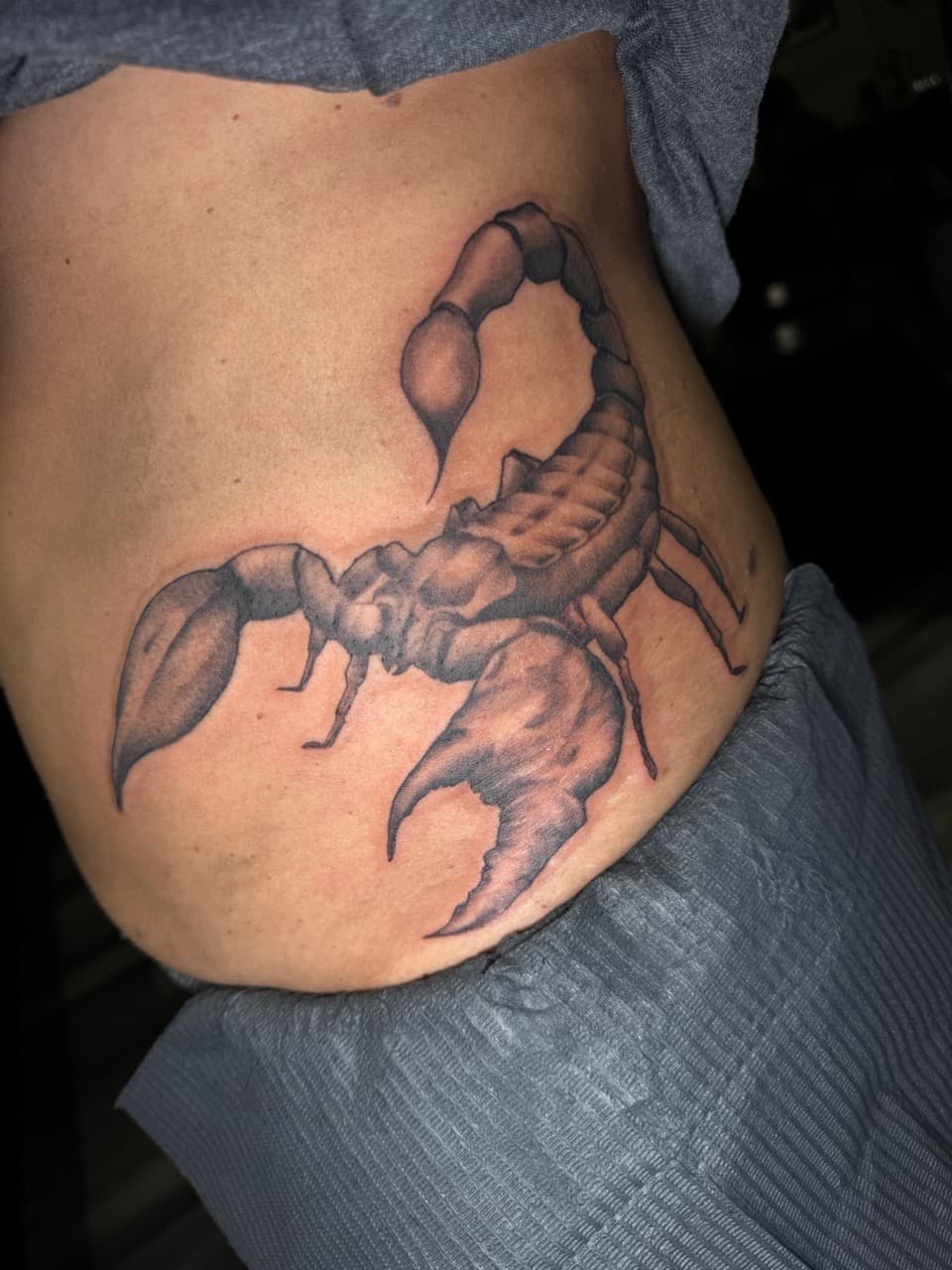 Black & Grey + Illustrative scorpion tattoo on Ribs by Ink_by_Noble on TattMe