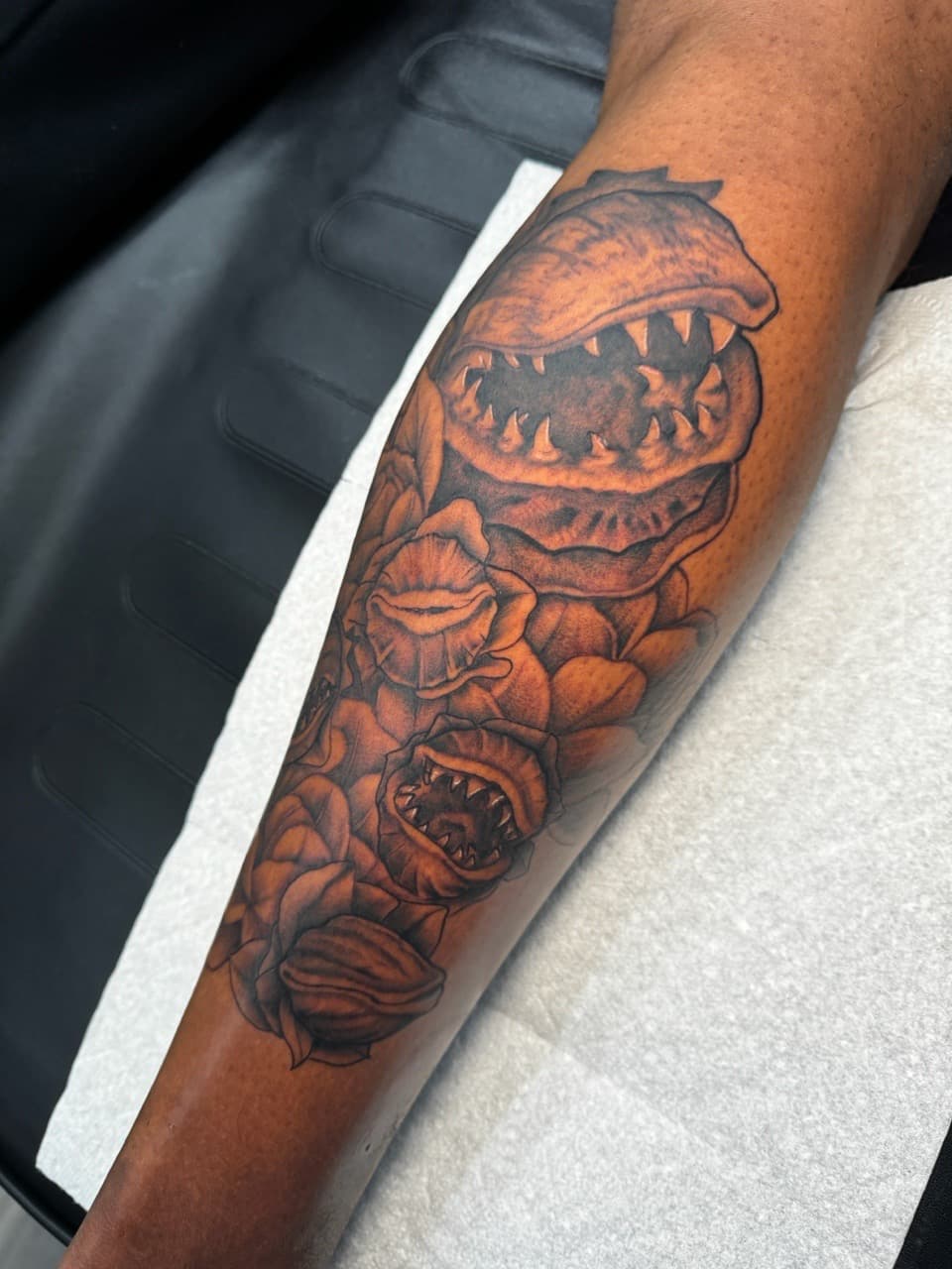 Black & Grey + Illustrative carnivorous plant tattoo on Forearm by Ink_by_Noble on TattMe