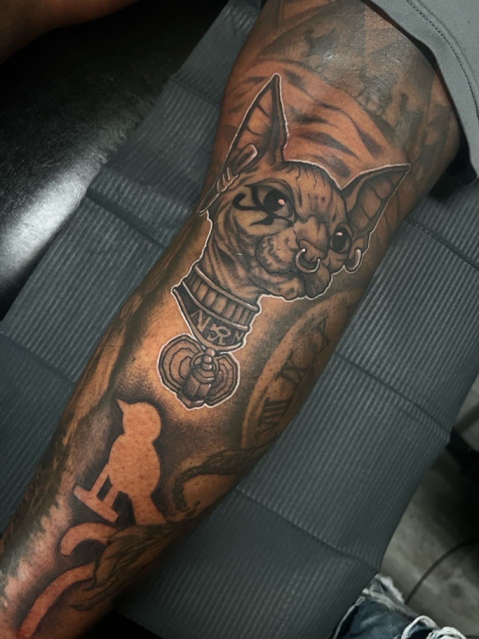 Black & Grey + Illustrative cat tattoo on Forearm by Ink_by_Noble on TattMe