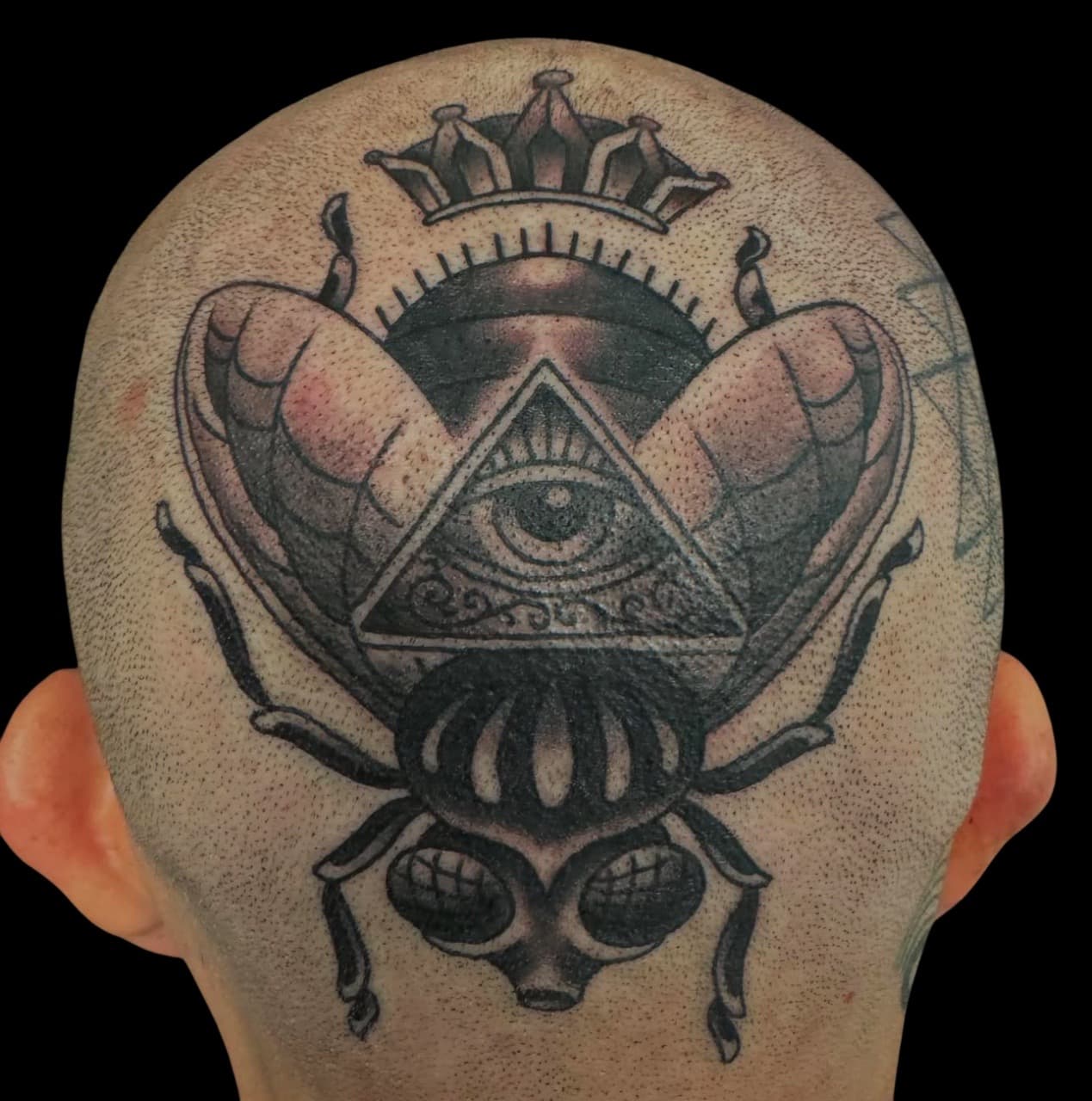 Black & Grey + Illustrative fly tattoo on Scalp by Surrender_Ink on TattMe