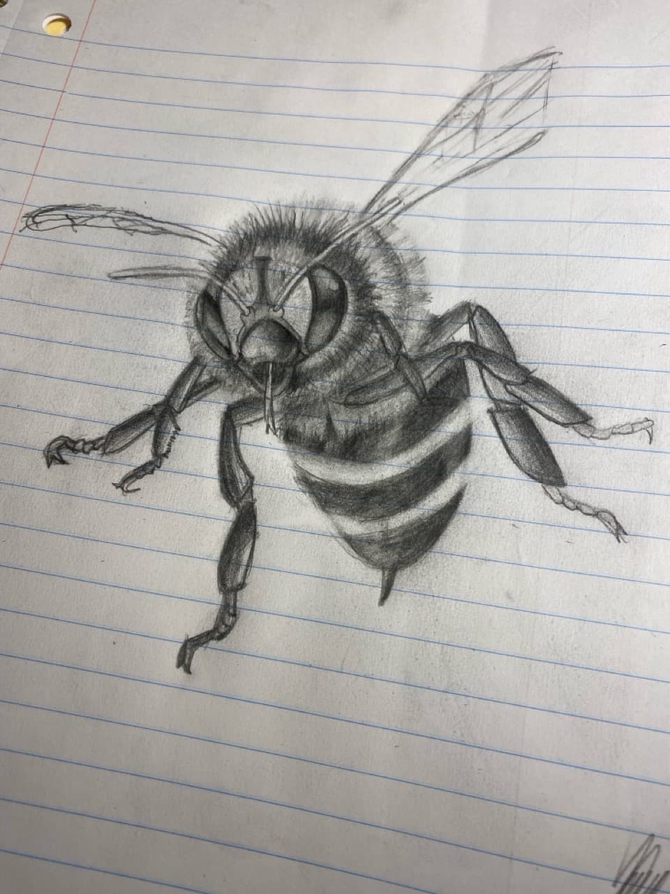 Illustrative + Sketch bee tattoo by ONEWAY_Ink on TattMe