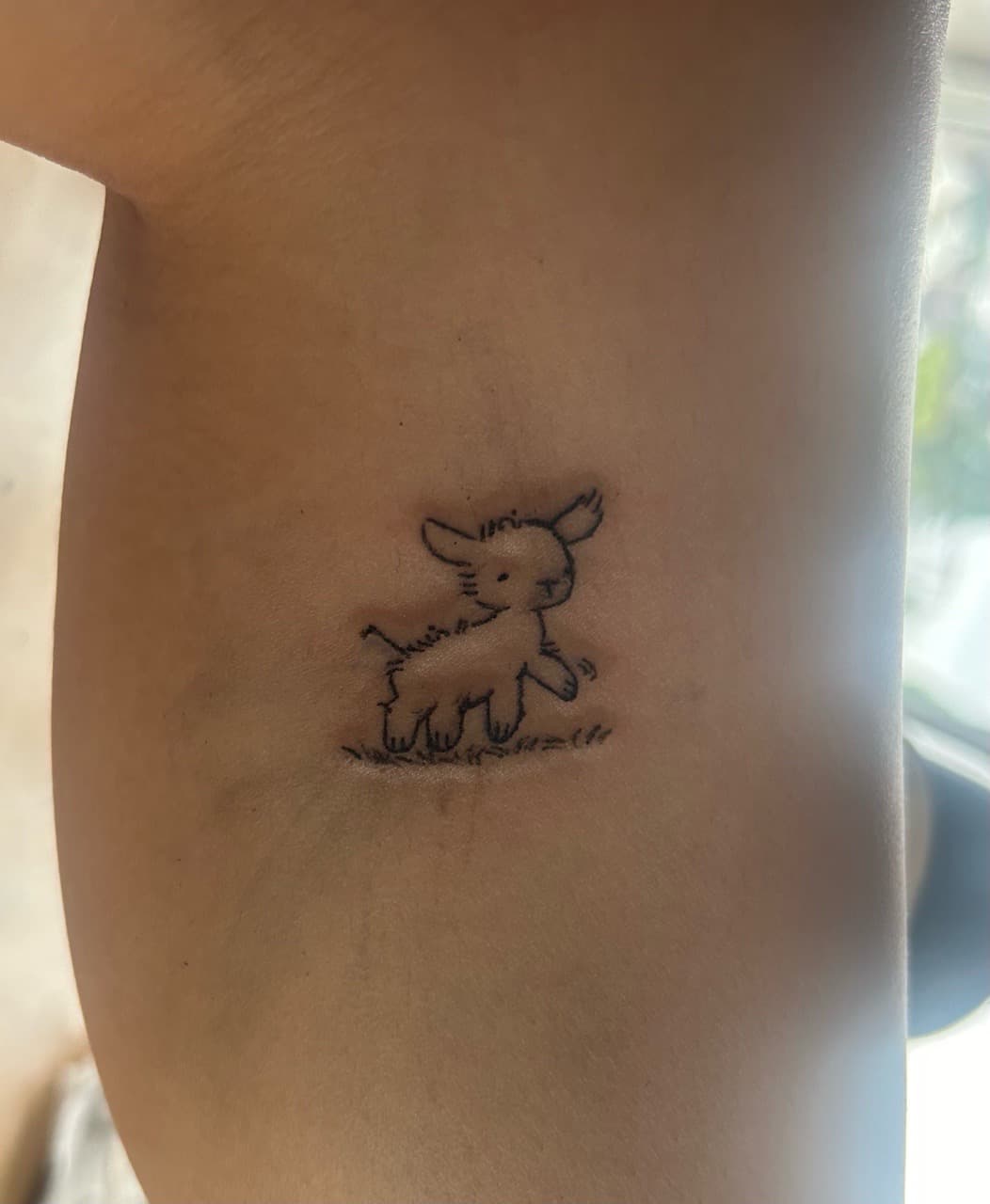 Fine Line + Minimalist lamb tattoo on Upper Arm by b13nk on TattMe