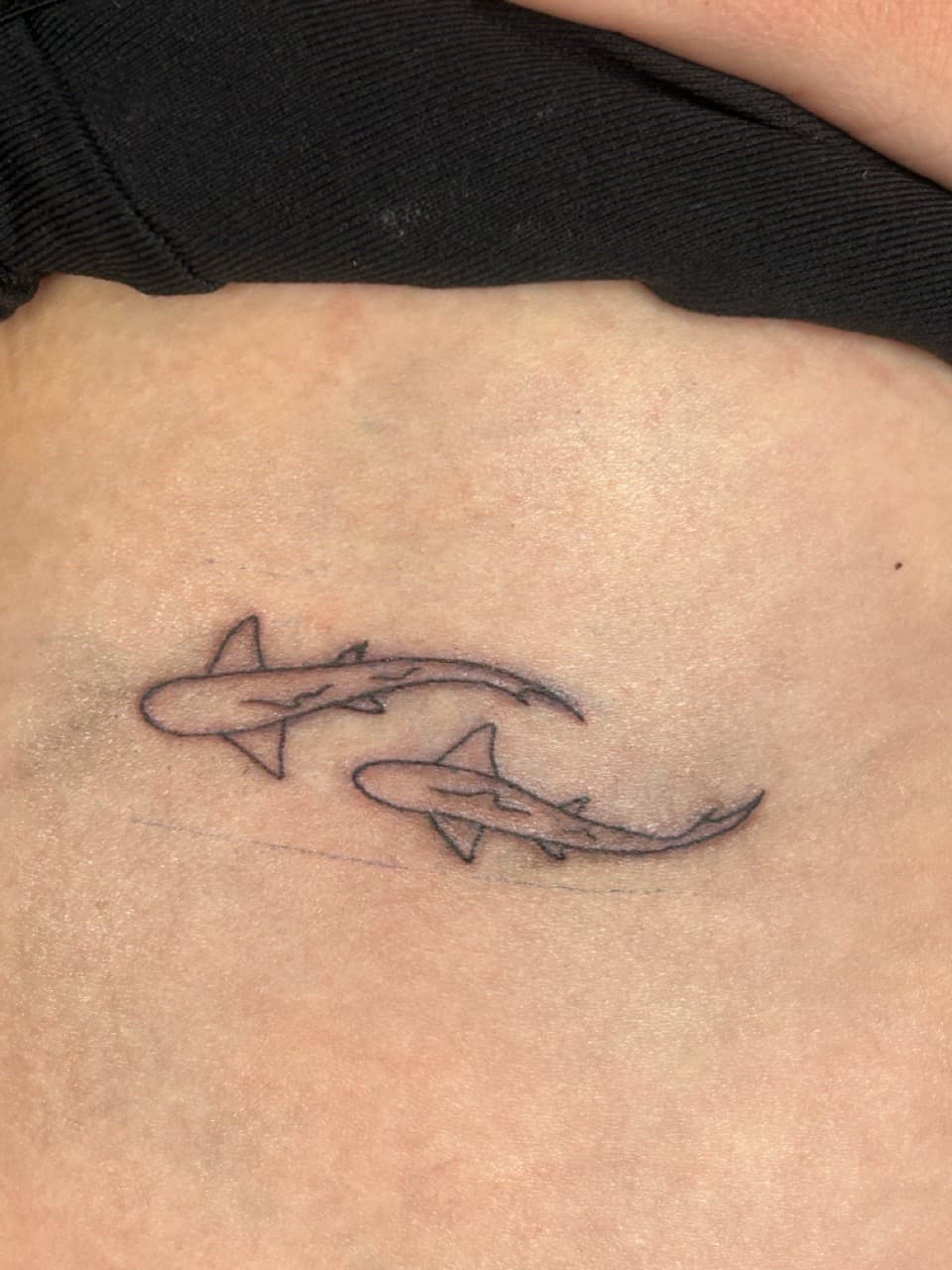 Fine Line + Minimalist sharks tattoo on Ribs by b13nk on TattMe