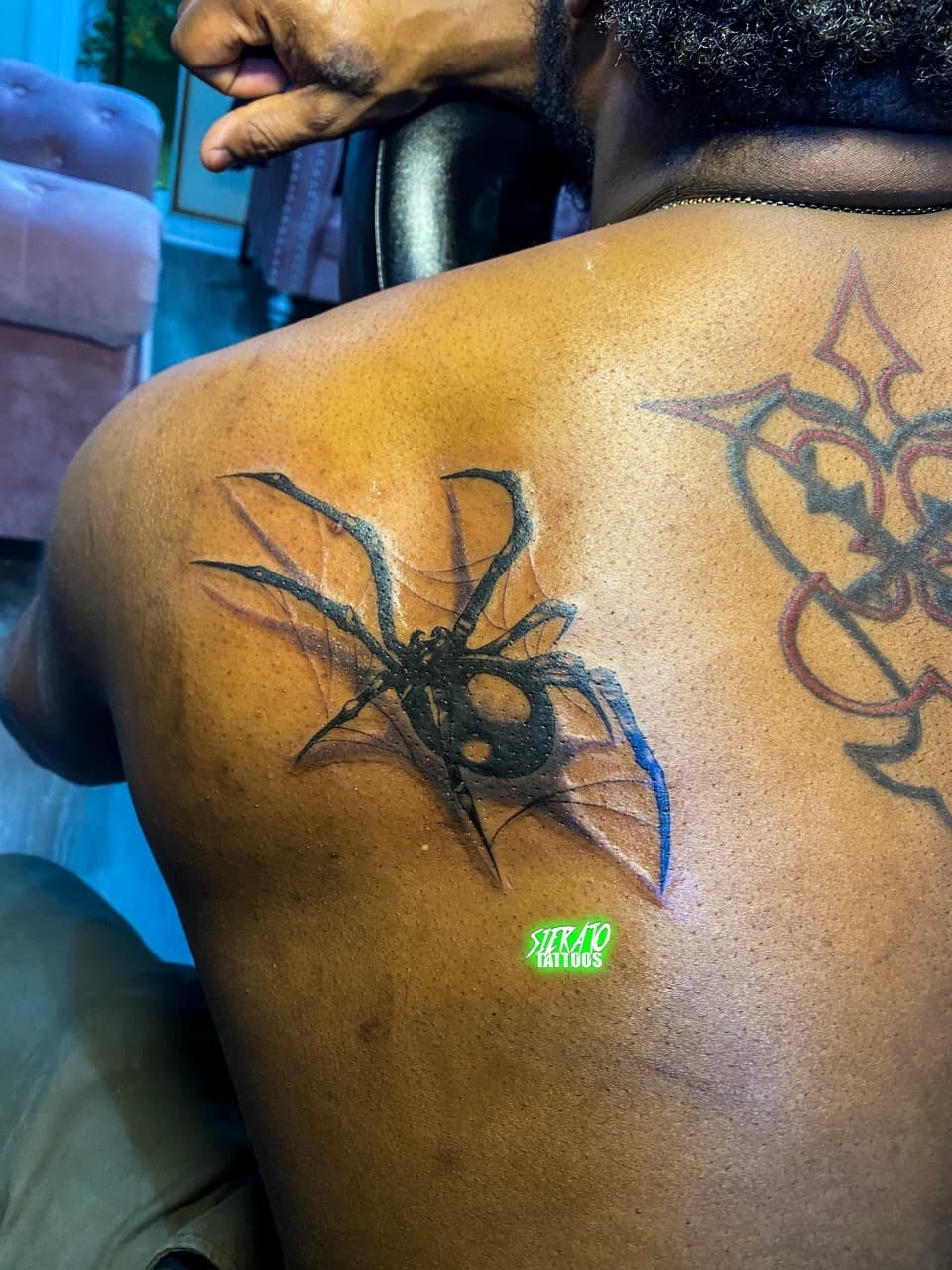 Realism + Black & Grey spider tattoo on Shoulder Blade by Sierato_Tattoos on TattMe