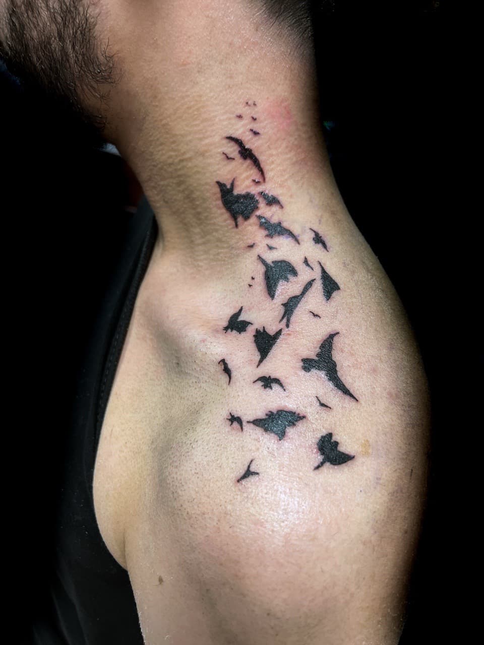 Black-work + Minimalist birds tattoo on Shoulder by Sierato_Tattoos on TattMe