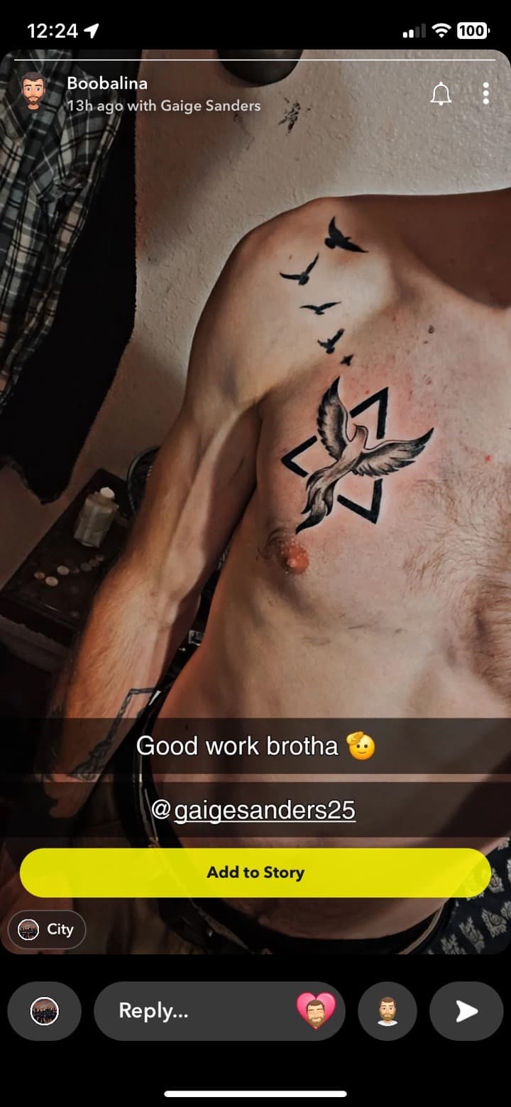 Black & Grey + Illustrative dove tattoo on Chest by The_plug_Tattoo._Co on TattMe
