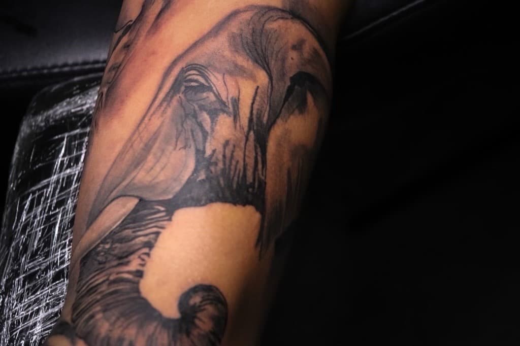 Black & Grey + Realism elephant tattoo on Forearm by TNO_INK on TattMe