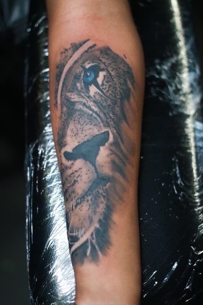 Black & Grey + Realism lion tattoo on Forearm by TNO_INK on TattMe