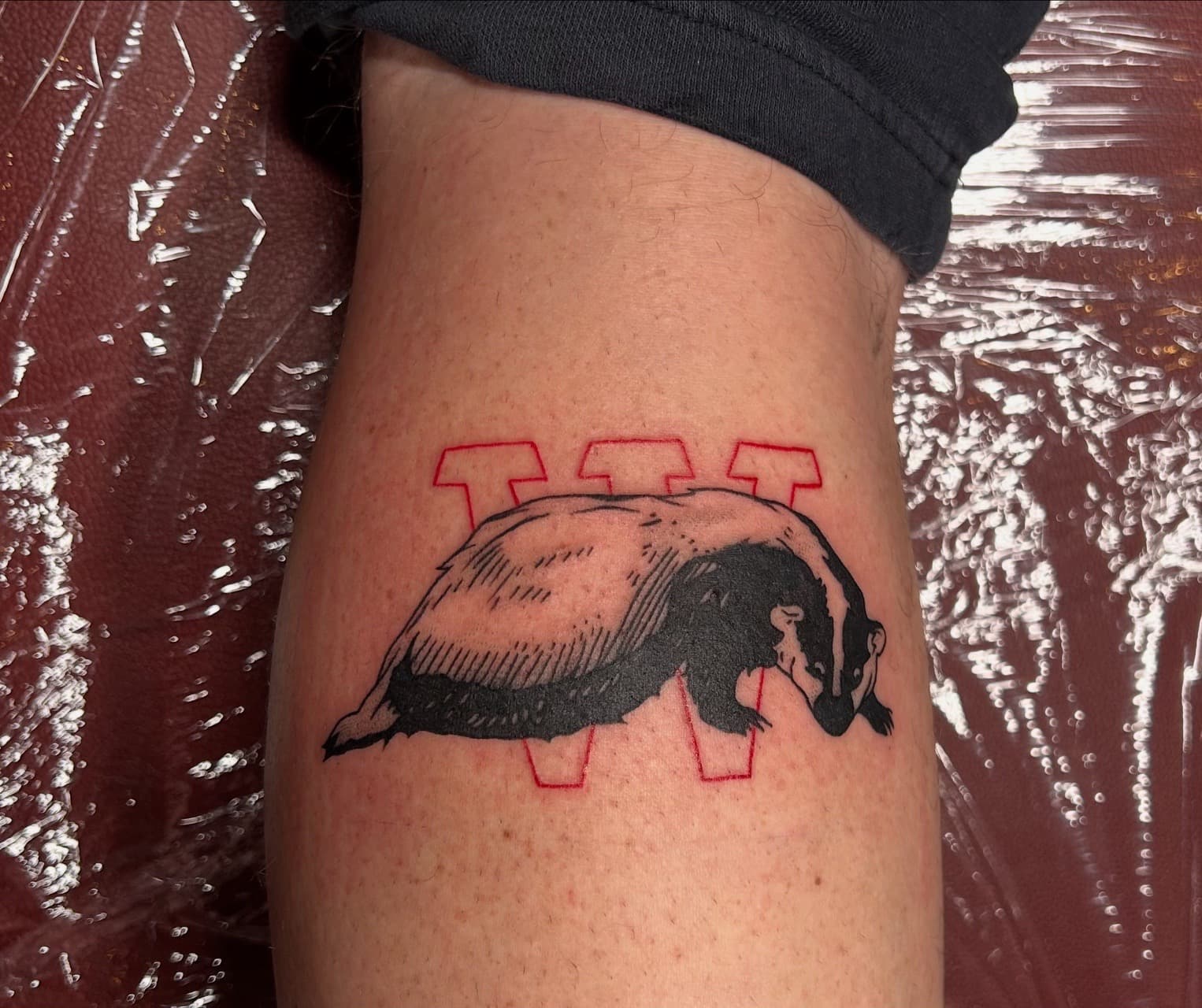 Illustrative + Black-work badger tattoo on Calf by Myers_Tattoos on TattMe