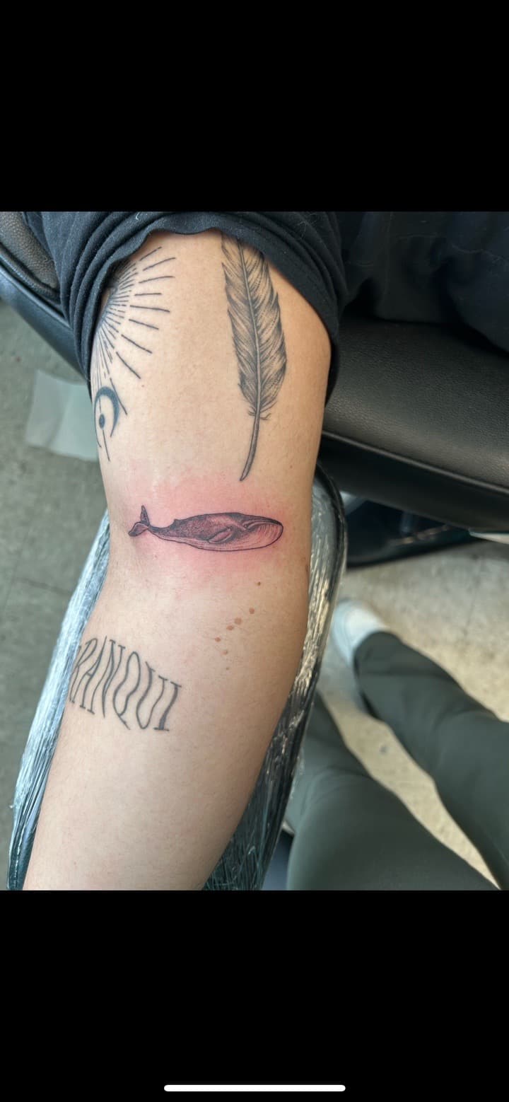 Fine Line + Black & Grey whale tattoo on Forearm by Myers_Tattoos on TattMe
