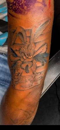 Cartoon + Black & Grey wile e coyote tattoo on Forearm by Torian_Benns on TattMe