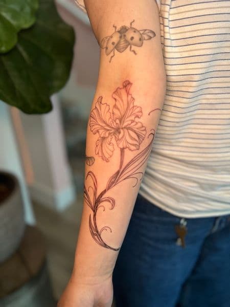 Fine Line + Floral iris tattoo on Forearm by cozinks on TattMe