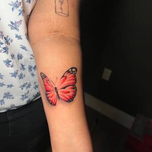Color Butterfly tattoo on Forearm by cozinks on TattMe