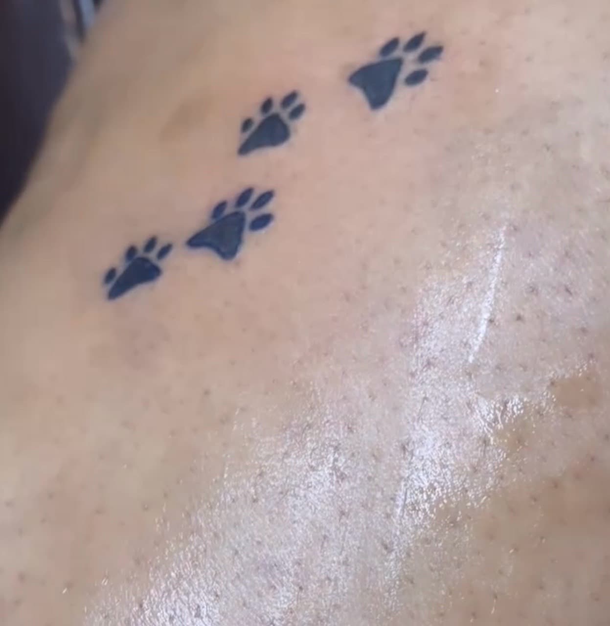 Black-work + Minimalist paw prints tattoo by Mona_Lisa on TattMe