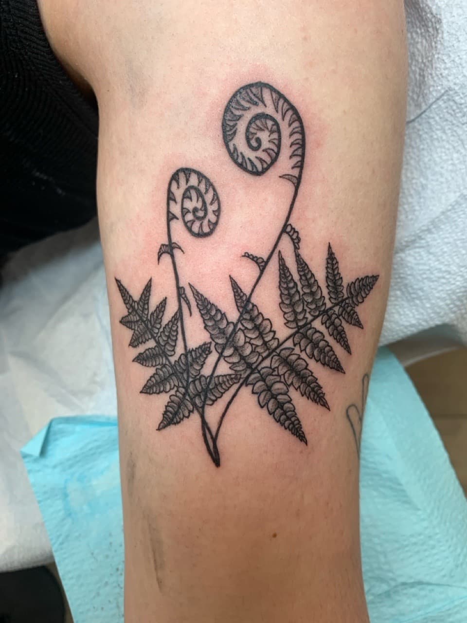 Fine Line + Black-work fern tattoo on Calf by Modest_Ink_Ellz on TattMe