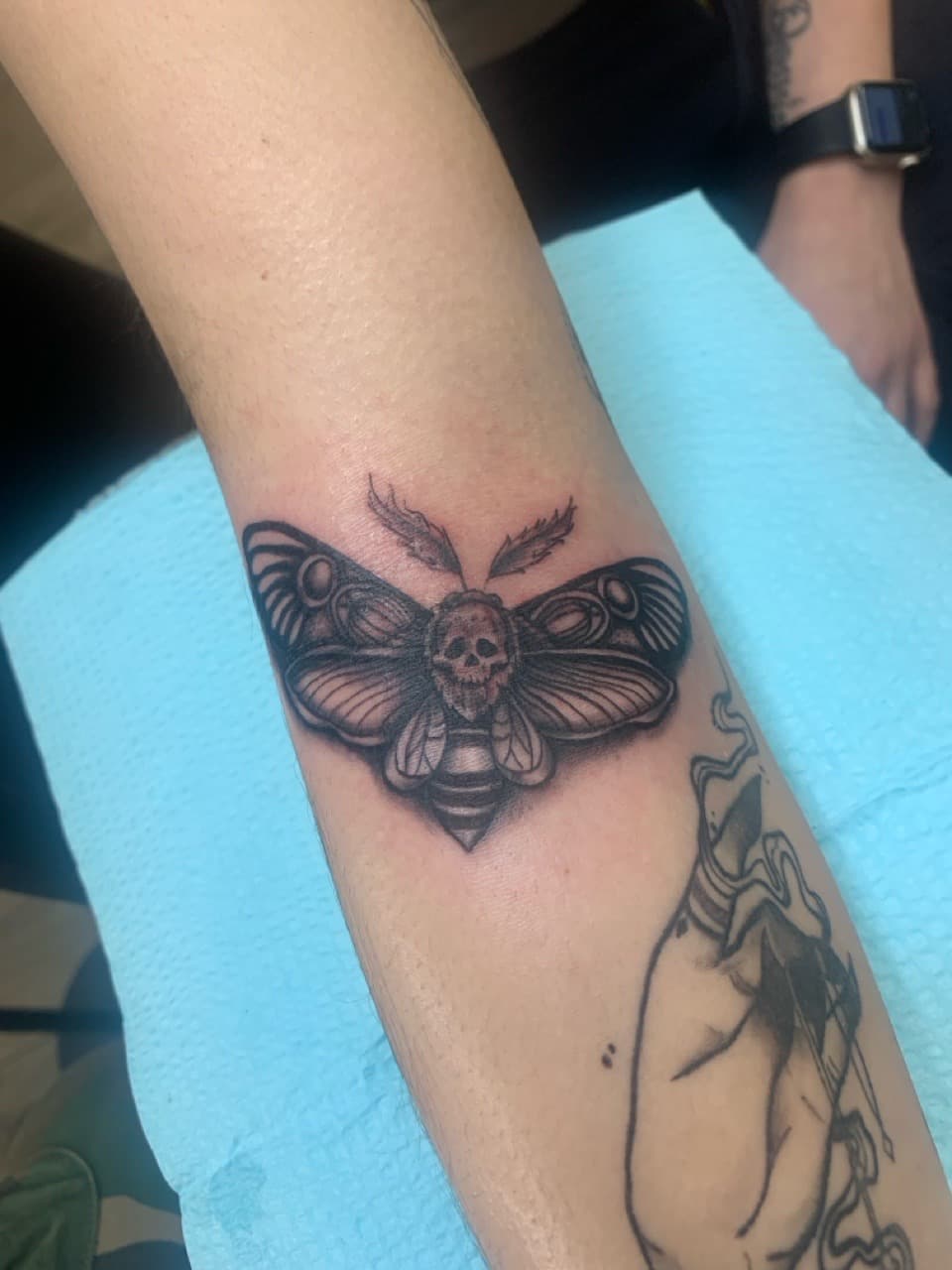 Black & Grey + Illustrative moth tattoo on Forearm by Modest_Ink_Ellz on TattMe