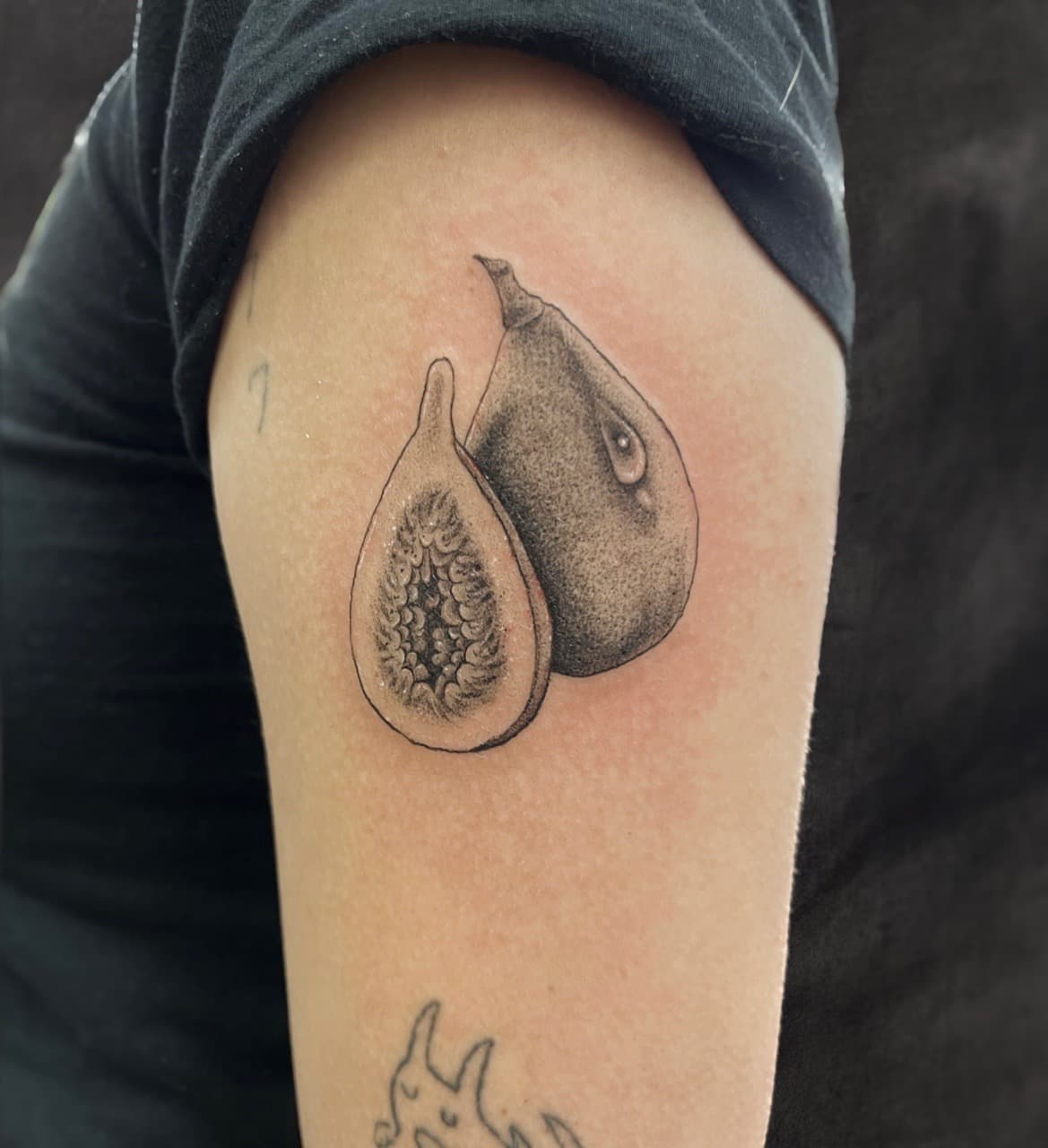 Black & Grey + Dot-work figs tattoo on Upper Arm by Adriana on TattMe