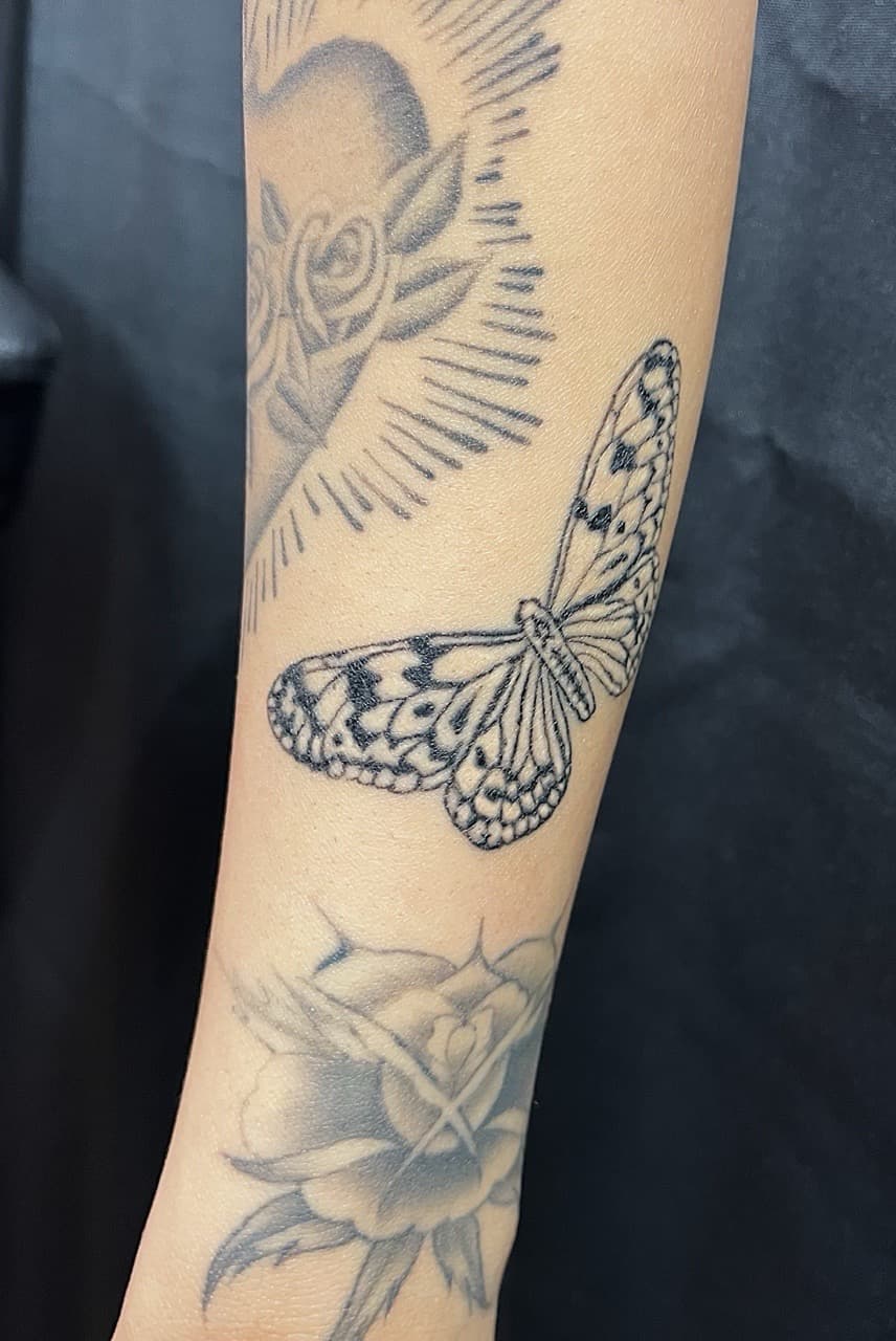 Fine Line + Black & Grey butterfly tattoo on Forearm by Adriana on TattMe