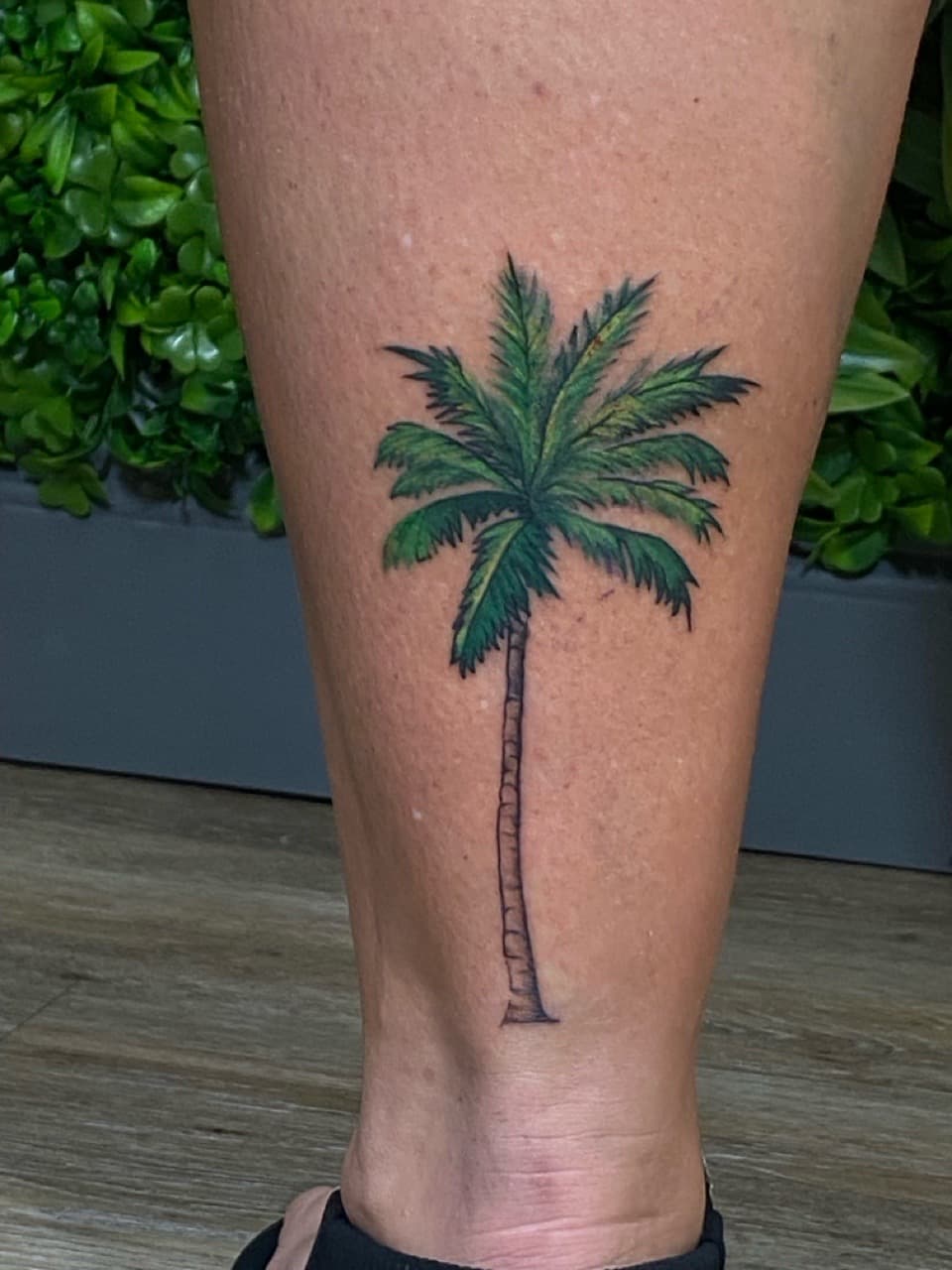 Color + Illustrative palm tree tattoo on Calf by Jniceinkz on TattMe