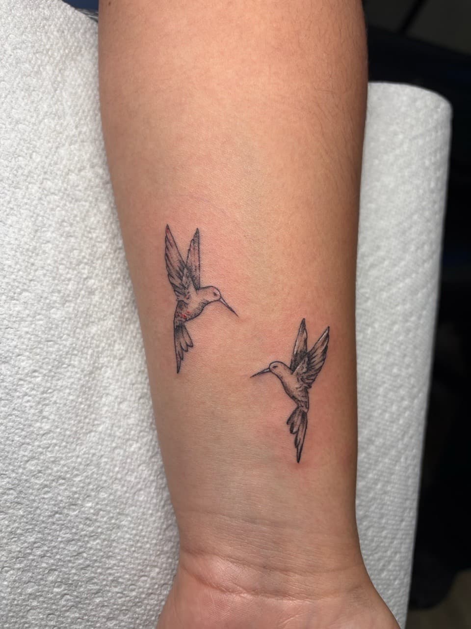 Fine Line + Black & Grey hummingbirds tattoo on Forearm by Jniceinkz on TattMe