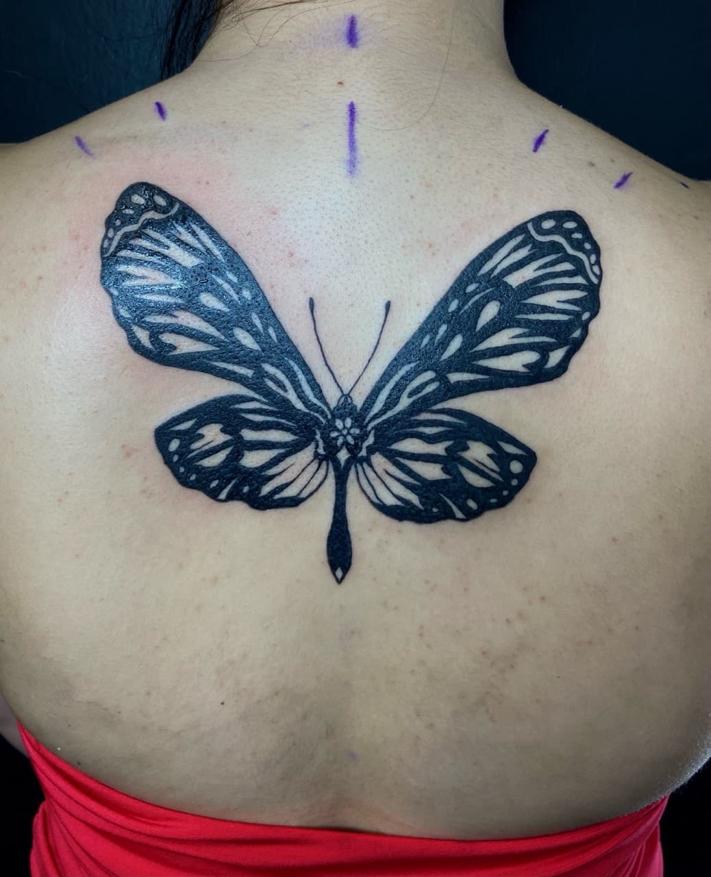 Black-work + Illustrative butterfly tattoo on Upper Back by Jniceinkz on TattMe