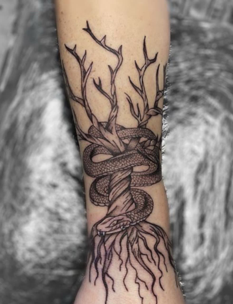 Black-work + Illustrative snake tattoo on Forearm by Taking_Art_2_The_Streets_1 on TattMe