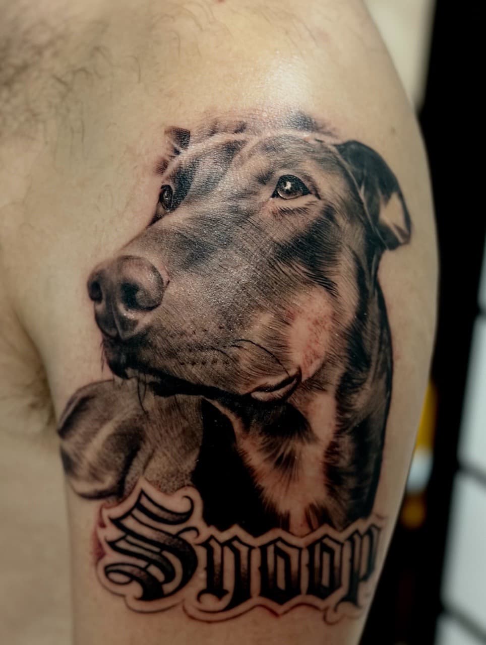 Realism + Black & Grey dog tattoo on Upper Arm by Danny_Orellana on TattMe