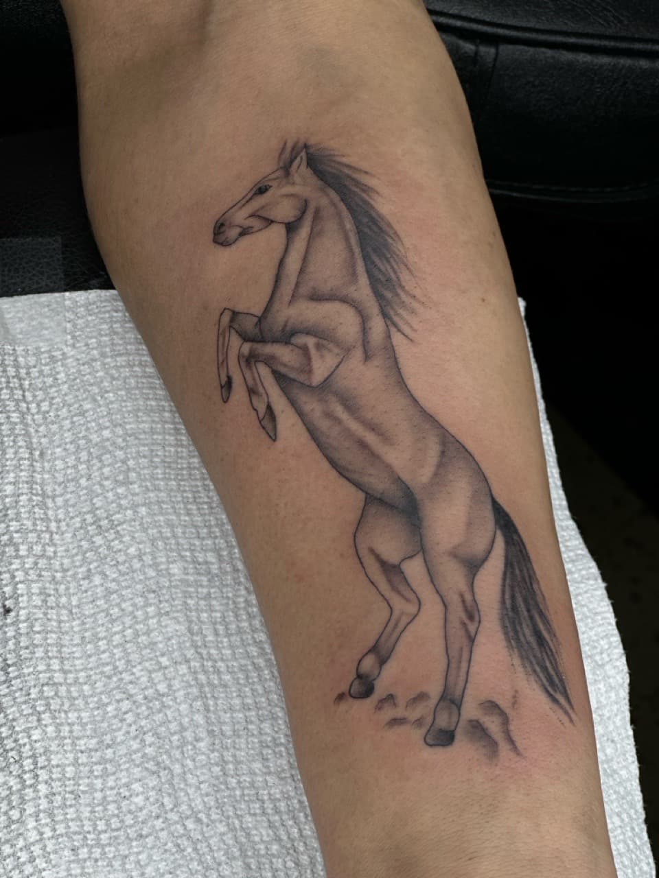 Black & Grey + Illustrative horse tattoo on Forearm by SalinasTatto on TattMe