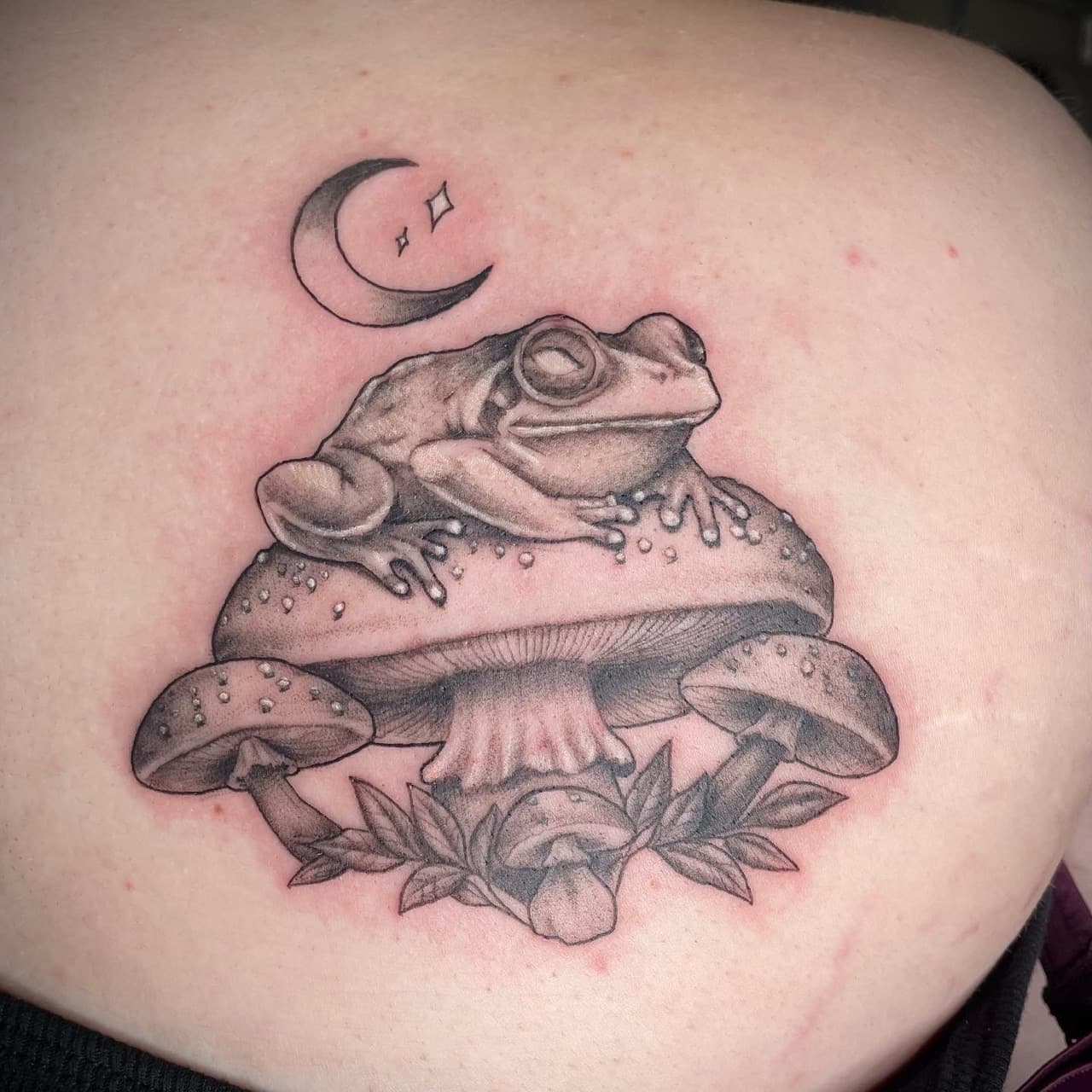 Black & Grey + Illustrative frog tattoo on Shoulder Blade by Dark_Alchemy_Studios on TattMe