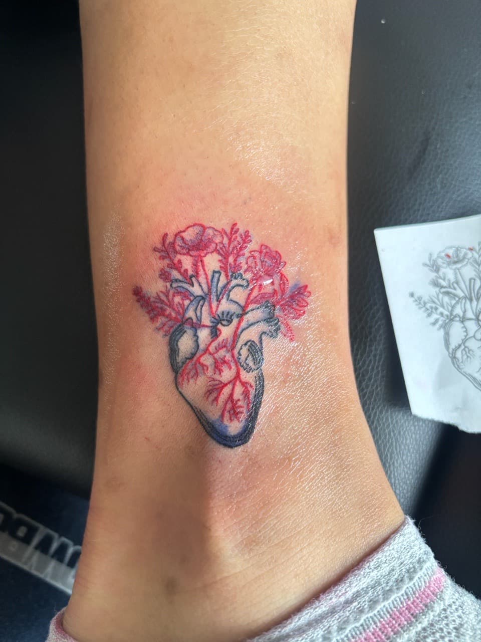Illustrative + Color anatomical heart tattoo on Ankle by 33_Tattoos on TattMe